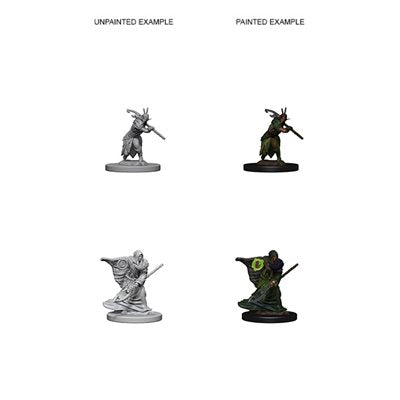D&D Miniatures: Nolzur's Marvelous Miniatures: Elf Druid Male