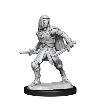 D&D Miniatures: Nolzur's Marvelous Miniatures: Warforged Rogue