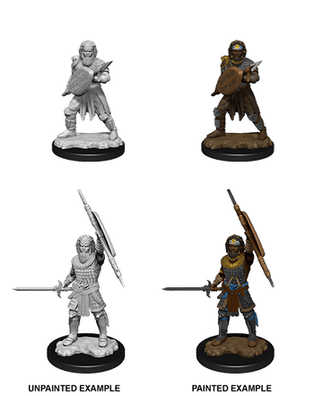 D&D Miniatures: Nolzur's Marvelous Miniatures: Human Fighter Male