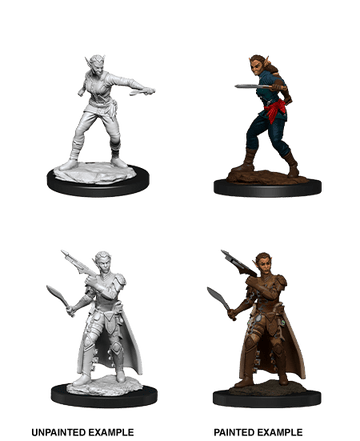 D&D Miniatures: Nolzur's Marvelous Miniatures: Shifter Rogue