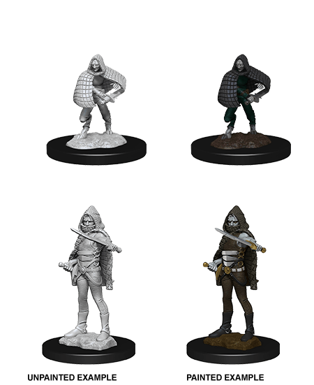 D&D Miniatures: Nolzur's Marvelous Miniatures: Darkling Elder & Darklings