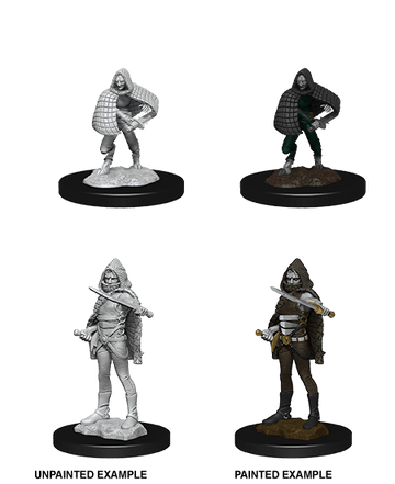 D&D Miniatures: Nolzur's Marvelous Miniatures: Darkling Elder & Darklings