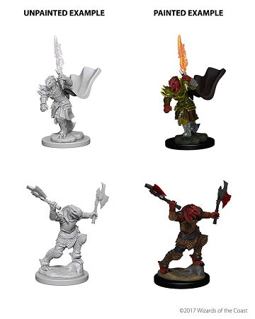D&D Miniatures: Nolzur's Marvelous Miniatures: Dragonborn Fighter Female