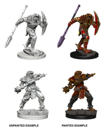 D&D Miniatures: Nolzur's Marvelous Miniatures: Dragonborn Fighter Male