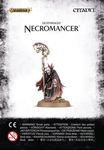 Age of Sigmar: Deathmages: Necromancer