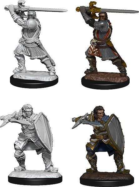 D&D Miniatures: Nolzur's Marvelous Miniatures: Human Paladin