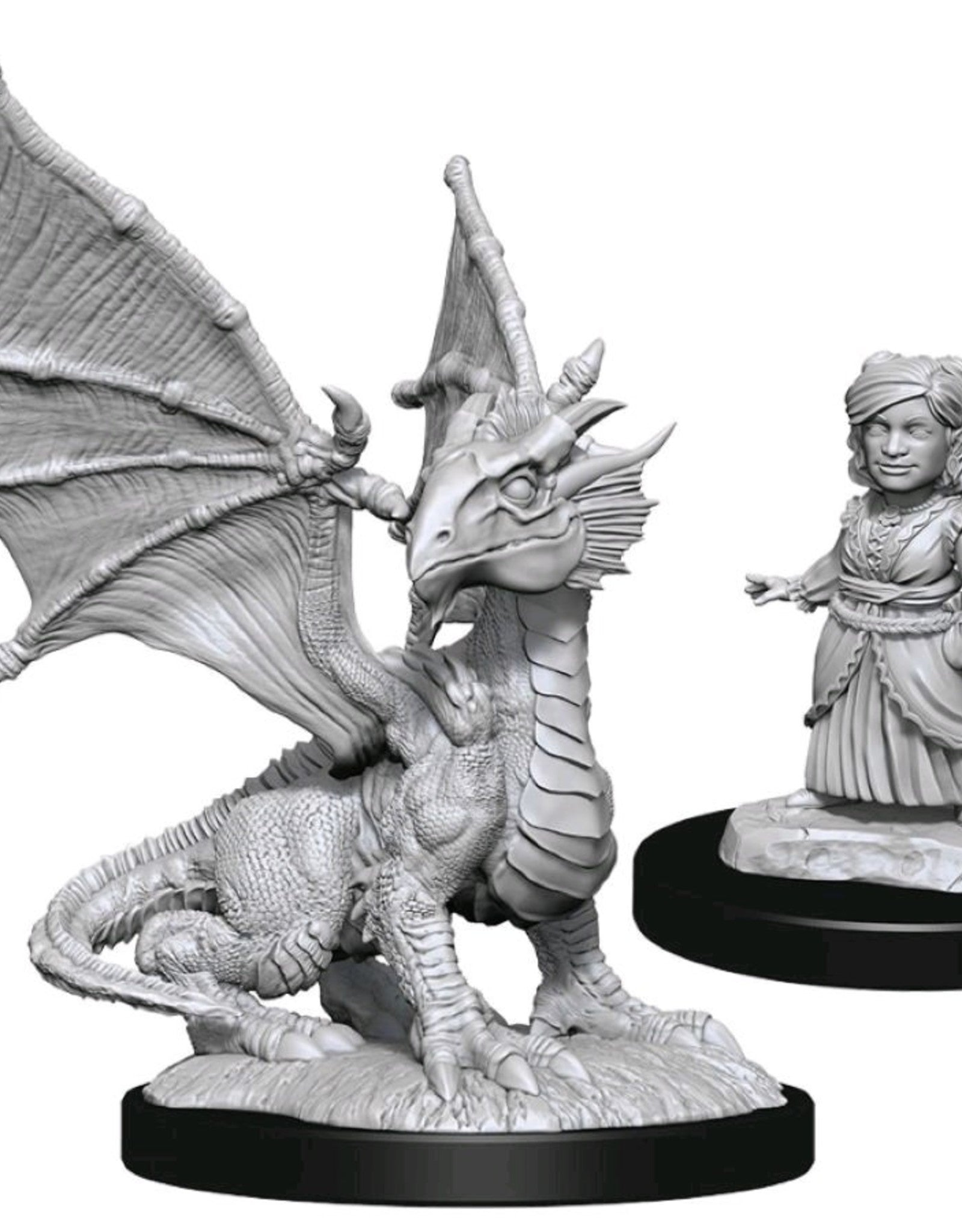 D&D Miniatures: Nolzur's Marvelous Miniatures: Silver Dragon Wyrmling & Dragon Friend